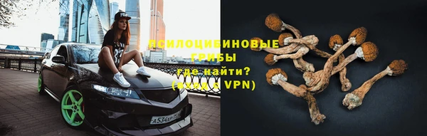 СК Беломорск